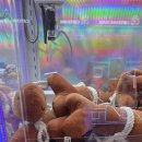 와!뽑기방 이미지