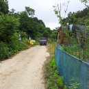 강정보 녹색길 이미지