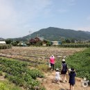 [충북 괴산군] 와일드푸드 체험과 시원한 물놀이, 둔율올갱이마을 이미지