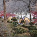레스트하우스 - 고양시 일산동구 장진천길108번길 64 | 레스트하우스