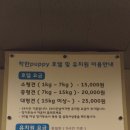 착한퍼피 이미지