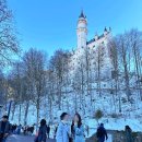 뮌헨 | 독일 여행 | 퓌센 노이슈반슈타인 성 당일치기 투어 후기, 뮌헨 근교 가볼만한곳