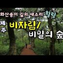 화산송이 길 힐링, 제주 비자림과 비밀의 숲 이미지