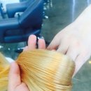 트레보헤어 이미지