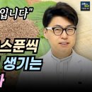 치매예방 혈관청소 만성염증 개선. 들깨 건강하게 먹는 방법. 이미지