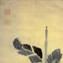 여백(餘白) | 파초 [ 芭蕉 ] - 정조