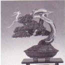공간_空間