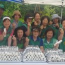김밥사랑 이미지