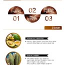 봄, 여름 살롱 이미지