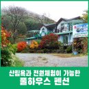 다래하우스펜션 이미지