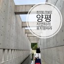 1974 하우스 | 박물관•미술관 주간 뮤지엄 거닐다 양평 자연따라 뮤지엄 따라 이함미술관 구하우스 두물머리 코스 후기