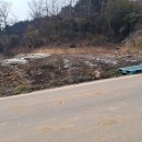 서삼면사무소 이미지