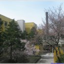 경기고등학교 이미지