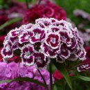 순흥농장 이미지