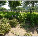 병천순대 - 부천시 원미구 부흥로373번길 78 | 병천순대
