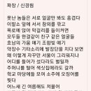 신경림 그의 미소처럼 · · · 서러운 이들 시로 보듬었다 이미지