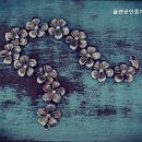 플랜공인중개사사무소 이미지