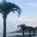 데이토나 펜션 이미지