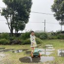 볼레낭집 | 1. 숙소_에어비앤비_볼레낭집_바깥은 여름_김애란