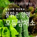 믿음야채 이미지