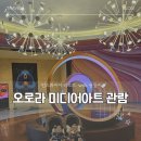용유로 | 오로라 미디어 아트 관람 후기 🐋 핑크 고래 vs 불새 비교해본 솔직 후기