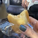 추억에바다민박 | 찾기, 인터라켄, 하더콜룸 전망대, 체르마트, 마테호른, 한인민박 ‘융프라우 빌라’, 한식당 ‘아레’