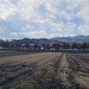 영월읍행정복지센터 이미지