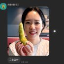 I.CAN 태권도장 | [2023.10 11박12일 유럽여행] 엄마랑 유럽여행 4일차 ; MSC Euribia 크루즈 승선