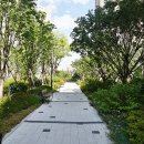 신금호 부동산중개 이미지