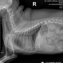 일곡동물병원 이미지