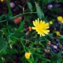 구두랑운동화랑 이미지