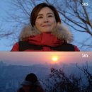 해돋이 회