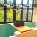 덴 바스타 이미지