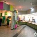 한국대나무 이미지