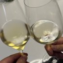 코파스 | 이마트 에브리데이 신상 도스코파스 샤도네이, 맥주보다 가성비 좋은 와인 시음 후기