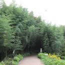 정영덕농장 이미지