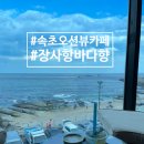 장사항바다향