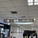 동일원예 - 성남시 분당구 금곡로 233 | 고터 꽃시장 촬영부케 쥬리원예 비추 솔직 후기