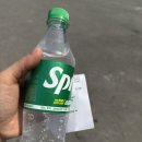 왕배짬뽕 | 남편과함께한 맛집/평택 왕배짬뽕 후기