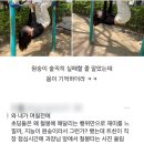 월간 감과장, 2022년 5월호