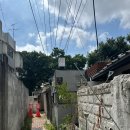 대학당약국 | 스튜디오 pp 삼덕점에서 가족사진 찍고왔어요
