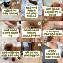 굿댕스쿨 이미지