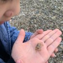 펜션바닷가 민박 이미지