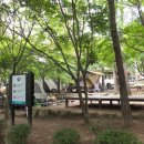 월출산국립공원 천황사야영장 이미지