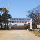 애견훈련소 보담 | [내돈내산] 남양주 대형카페, 4천평의 정원이 있는 달빛새 베이커리앤카페 솔직 방문 후기