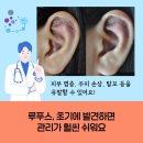 류마제통의원 이미지