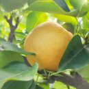 진솔농장 이미지