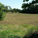 난산리-8 이미지