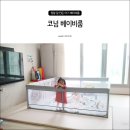 코넘