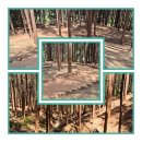 석갑산 등산로 화장실 2 | 《경남 진주에 가면》 솔숲 길과 편백 숲길이 쾌적하고 멋진 &lt;석갑산편백림공원&gt;